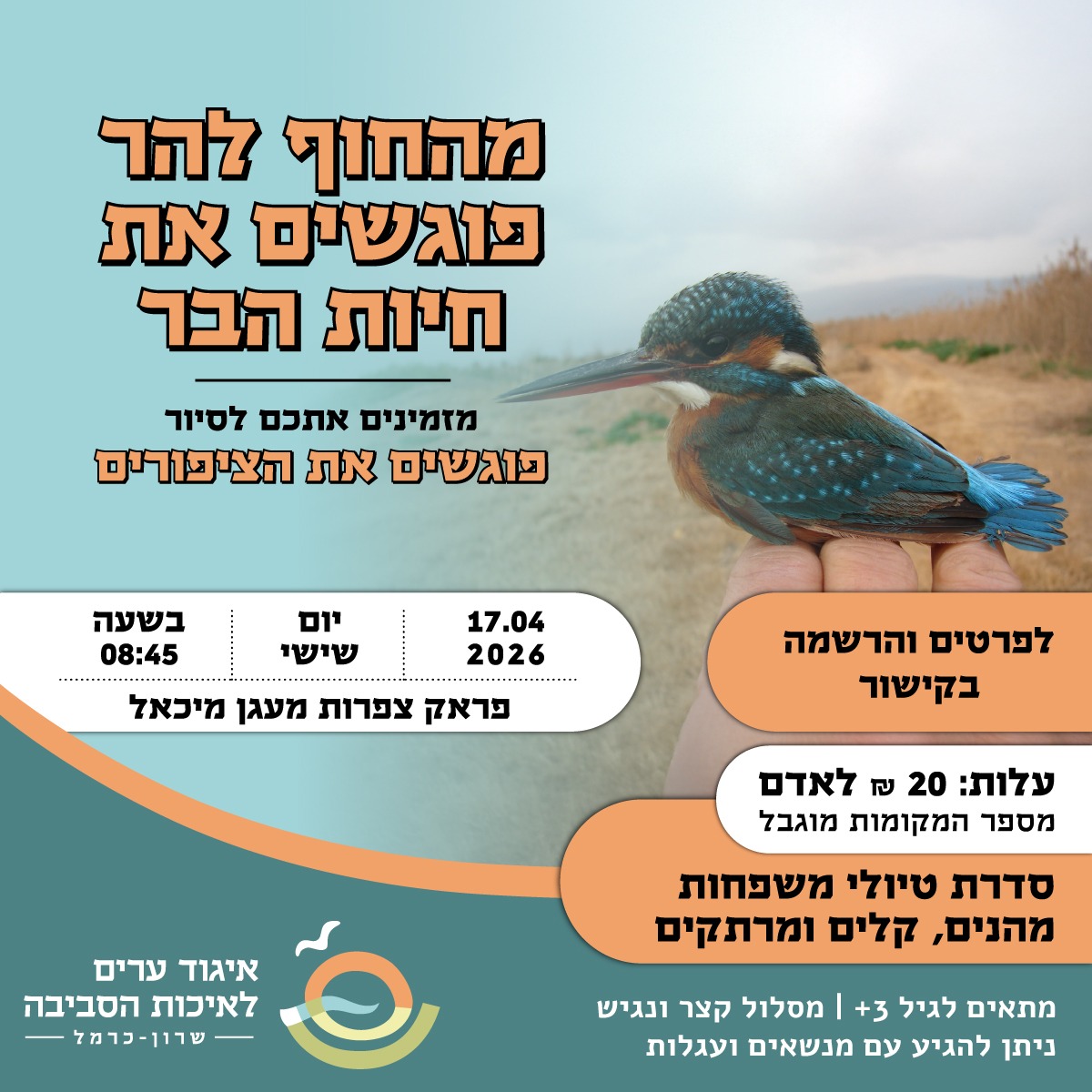 הזמנה לסיור צפרות