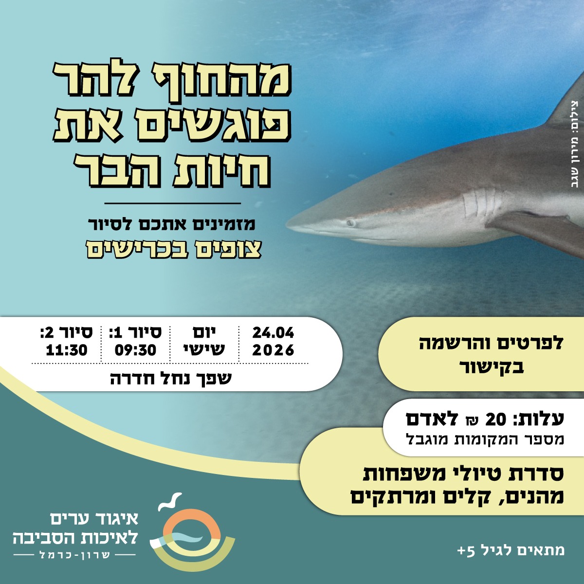 הזמנה לסיור כרישים