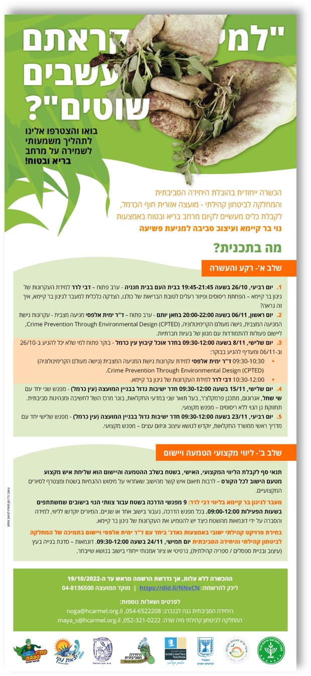הכשרה מקצועית